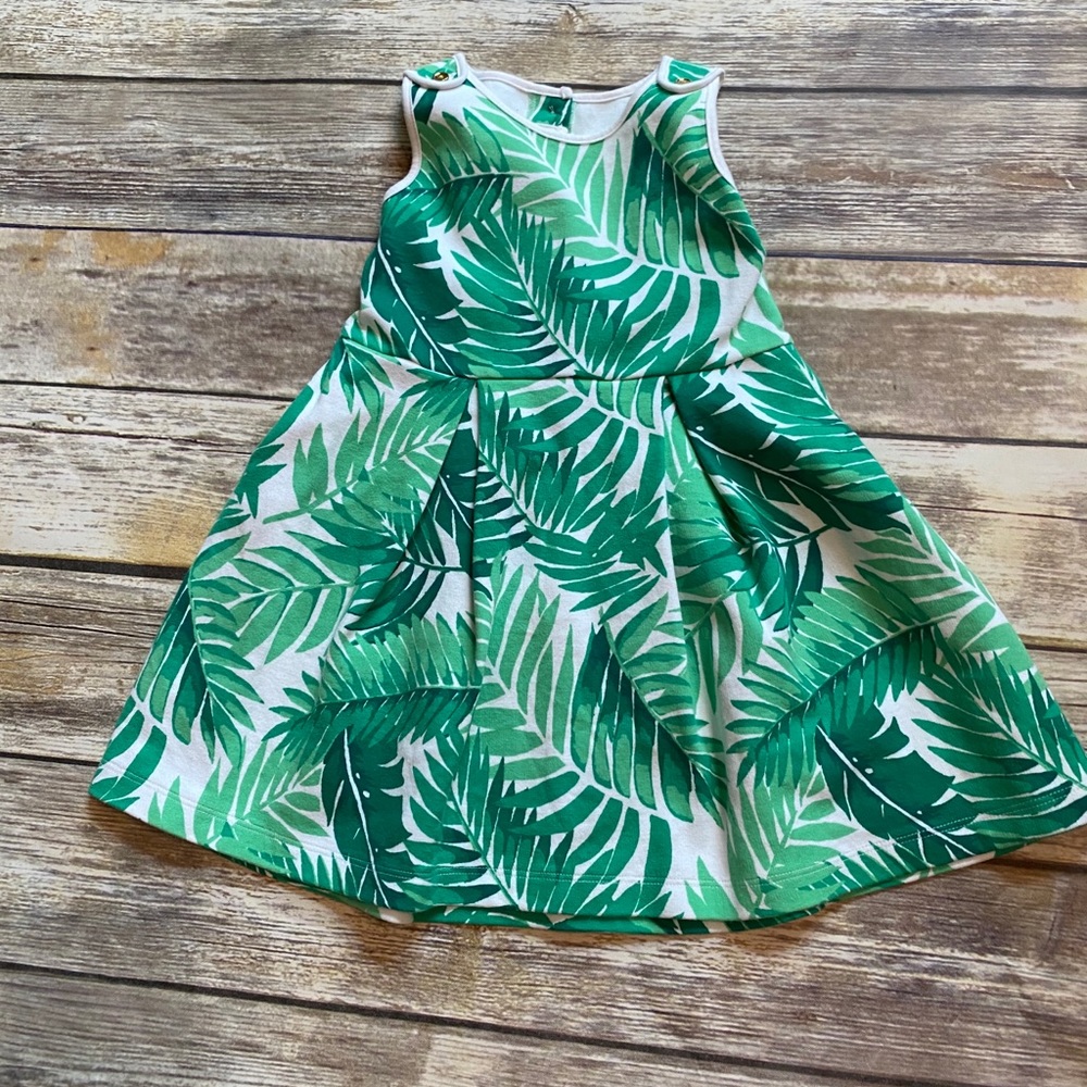 Beautiful Janie & Jack dress